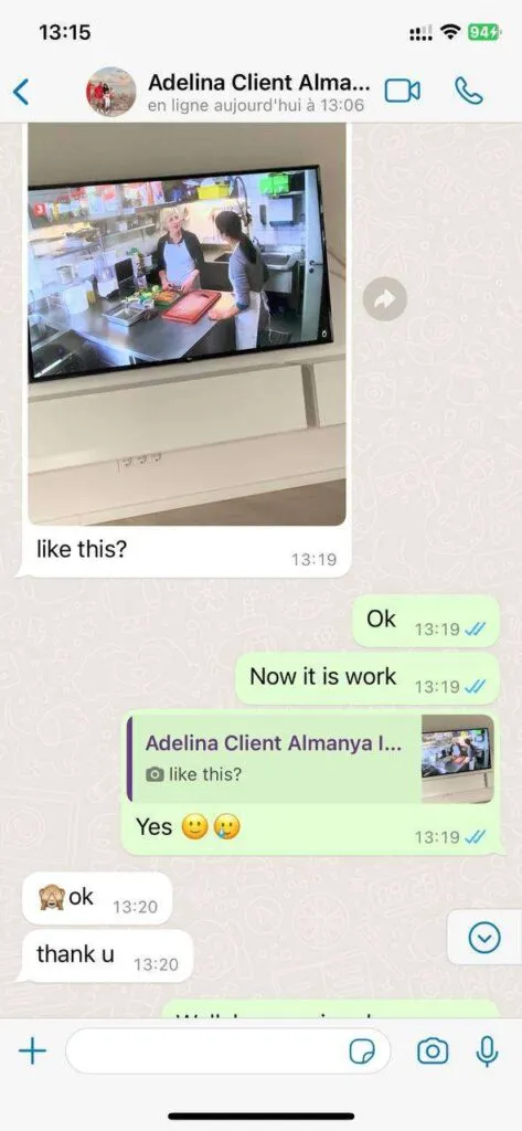 WhatsApp setup conversation screenshot 4