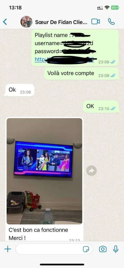 WhatsApp setup conversation screenshot 6